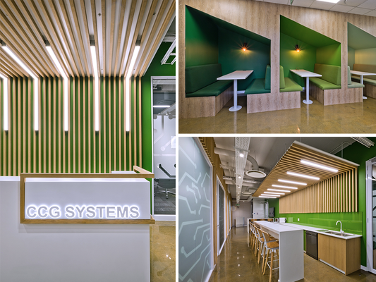 CCG Systems Midrand Lighting Rubicon