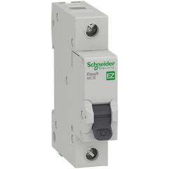 Schneider Mini circuit breaker, C-curve, 1-pole, 6A - Rubicon Installer Portal