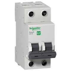 Schneider Mini circuit breaker, C-curve, 2-pole, 63A - Rubicon Installer Portal