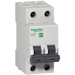 Schneider Mini circuit breaker, C-curve, 2-pole, 6A - Rubicon Installer Portal
