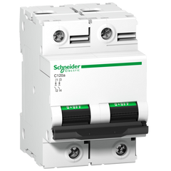 Schneider Miniature circuit breaker, C, 2-pole, 5kA, 100A - Rubicon Installer Portal