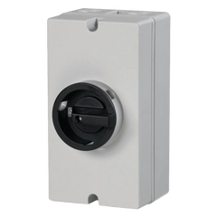 Telergon Switch disconnector, size 00, 2-pole, 32A - Rubicon Installer Portal